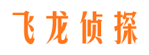 阿尔山市调查公司